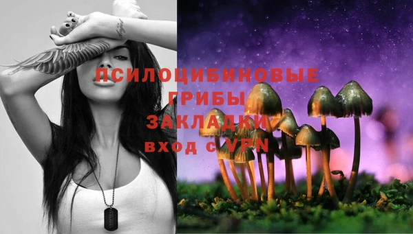 PSILOCYBIN Алзамай
