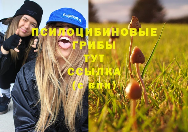 дмт Алексин